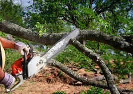 Best Weed Control  in Highland, AR